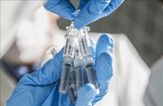 泰国开始在藏酋猴上测试新冠肺炎疫苗  马来西亚新增确诊病例突增