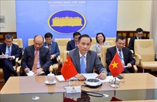 越南副外长黎怀忠与中国副外长罗照辉举行视频会议