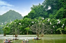 竭尽全力促进旅游业复苏  推广越南安全旅游目的地的形象