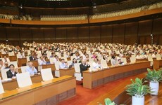 越南国会第九次会议：国会活动中的重要亮点