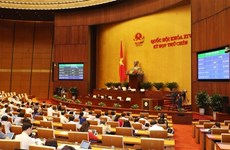 越南第十四届国会第九次会议：继续开展人事任免工作