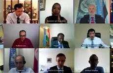 联合国安理会就中非问题召开视频会议    越南与印尼在解决中非问题上发表共同立场