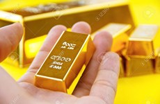 6月17日越南国内黄金价格小幅波动