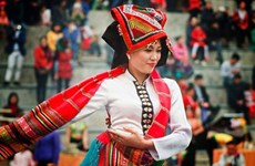 清化省努力保护与弘扬傣族文化特色