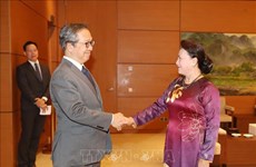 越南国会主席阮氏金银会见日本和柬埔寨驻越大使