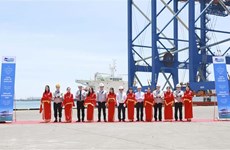 Doosan Vina向Gemalink国际港口出口2台超长超重型起重机