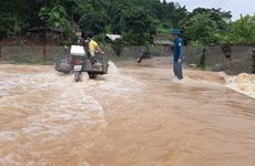 越南北部各省主动应对和克服暴雨洪涝灾害所造成严重后果