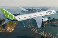 越南航空局公布2020年前6月越南各家航空公司准点率情况