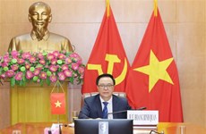 越南在国际政党圆桌视频会议上分享新冠肺炎疫情防控经验