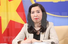 外交部发言人：越南欢迎各国在东海问题上符合国际法的立场