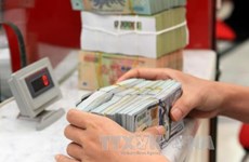 越南发行政府债券成功筹资15.6万亿越盾 