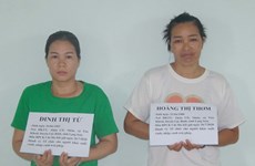 谅山省：组织外国人非法入境的2名犯罪嫌疑人被抓