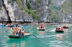今年前7月越南接待国际游客人数同比下降61.6%
