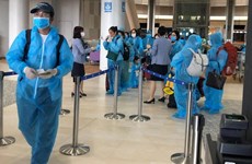 新冠肺炎疫情：将在日本滞留的340名越南公民接回国