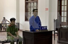 越南贩运10块海洛因砖的被告人获死刑