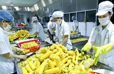 《越南与欧盟自由贸易协定》: 越南农产品提高质量和创建品牌