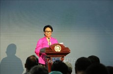 印尼外长：东盟正面临日益严峻的挑战