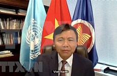 越南与联合国安理会：越南参加了关于反IS恐怖主义的会议