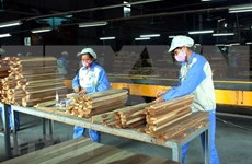 越南林产品出口增长10%以上