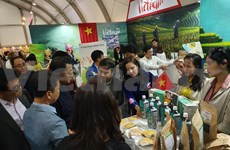 越南企业参加阿尔及利亚在线国际贸易博览会