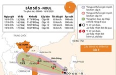 越南航空业采取措施应对第5号台风的影响