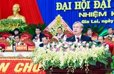 越共中央书记处常务书记陈国旺出席越共嘉莱省第十六次代表大会