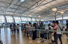 新冠肺炎疫情：在韩国的250多名越南公民安全回国
