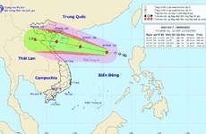 越南政府总理就克服暴雨洪水后果及应对第7号台风工作下发通知