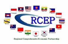 RCEP协定拟于今年11月中旬签署
