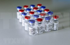 越南从俄罗斯和英国若干伙伴订购新冠疫苗