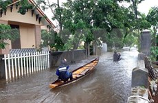 越南中部继续面临洪涝灾害和山体滑坡风险