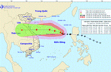 第八号台风路径预报：可能袭击广平、广治等省
