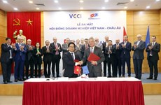 越南-欧洲企业理事会问世