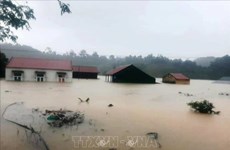 广平省仍有2000间房屋被淹
