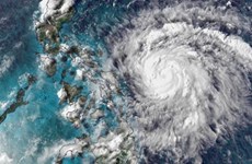 台风“莫拉菲”将登陆吕宋岛南部 近1800菲律宾人被紧急疏散