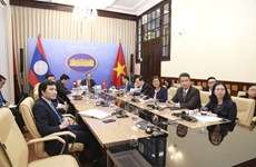 越南与老挝外交部第五次政治磋商以视频方式举行