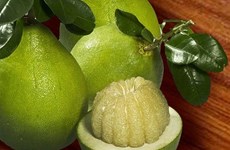 智利同意为越南柚子开放市场