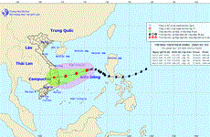 11月5日左右10号台风将登陆广义到庆和各省