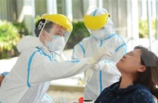 俄媒：越南政治体系在新冠肺炎疫情防控中有效运行