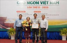ST25大米继续保持越南最佳大米的称号
