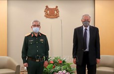 第11次越南和新加坡国防部防务政策对话在新加坡举行