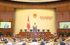 越南第十四届国会第十次会议：开展人事工作和通过2021年经济社会发展计划的决议