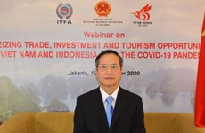 越南与印尼在新冠肺炎疫情背景下促进经济合作