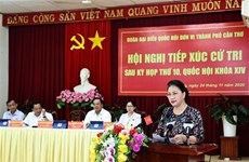 越南国会主席阮氏金银在芹苴市开展选民接待活动  