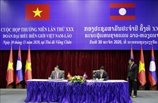 越南与老挝考虑恢复整个边界线的货物通关