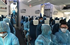 越南航空局建议安排包机航班接旅外越南公民回国 