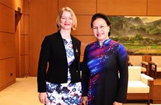 越南国会主席阮氏金银会见新西兰、智利和印尼驻越大使
