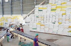 EAEU将于2021年给予越南1万吨大米的出口关税配额