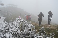 越南北部和中部以北地区继续遭遇寒冷天气 山区局部地区或将下雪