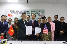 越南与马来西亚企业促进合作